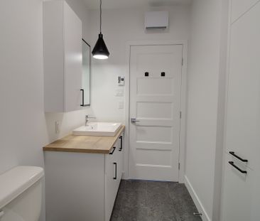 130 rue Charles-Grenier, #201, East-Angus - Photo 4