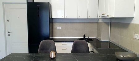 I rent apartment 2 rooms of iron podu - Photo 4