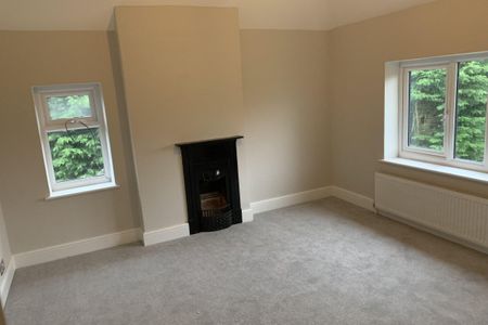 Swaffham Road - Photo 2