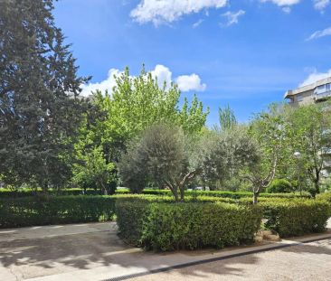 Madrid Capital - Photo 4