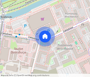 Kawalerka | Studio | Klucze od zaraz| PetsFriendly | Przy Odrze - Фото 1