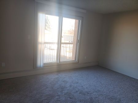 Small Pet Friendly 1 Bedroom Apartment on the 3rd Floor - Photo 2