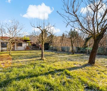 Stadtleben trifft Gartenidylle – 4-Raum-Wohnung in der nördlichen I... - Photo 3