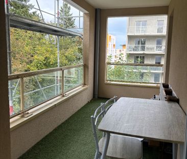 Location Appartement 2 pièces 38m² - Photo 3