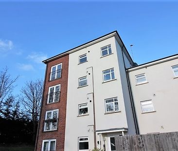 Thursby Walk, Exeter - Photo 4