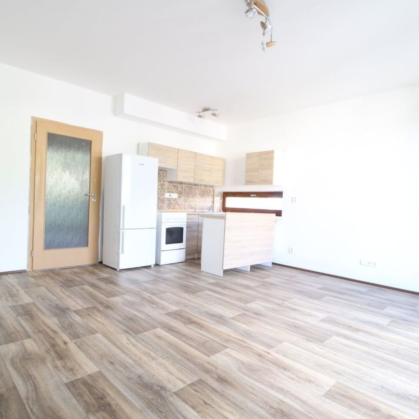 Pronájem bytu 1+kk • 42 m²Ohradní, Kamenice - Ládví, Středočeský kraj - Photo 1