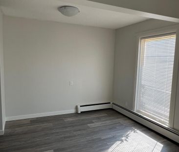 FULLY RENOVATED TWO BEDROOM ~ SMALL PET FRIENDLY! - Photo 2