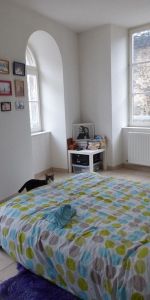 Location Appartement 2 pièces 49m² ANNONAY 07100 - Photo 3
