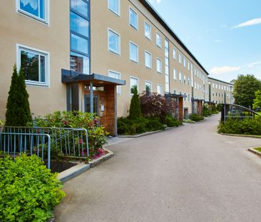 Pettersbergsgatan 31 A - Photo 5