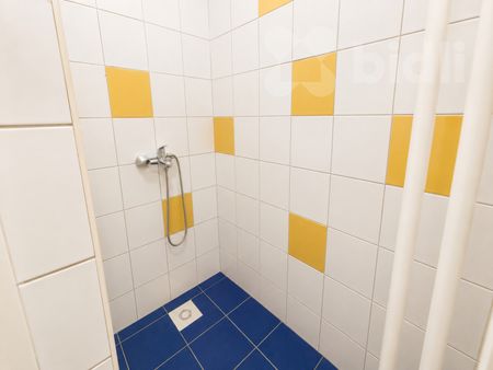 Pronájem bytu 1+kk a garsoniéry 17 m², Kosmonautů 2134, Ostrava - Photo 4