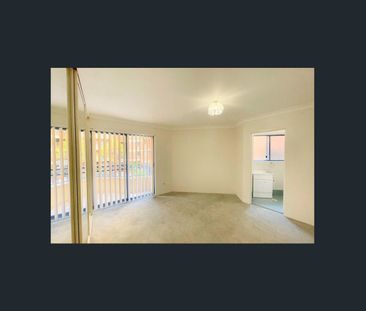 Beautiful Apartment with Pool Access!! - Photo 6