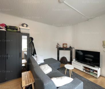Te huur: Kamer Koningin Emmaplein in Maastricht - Foto 6