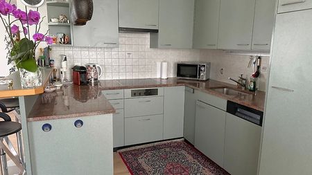 2½ Zimmer-Wohnung in Rapperswil (SG), möbliert, auf Zeit - Photo 2