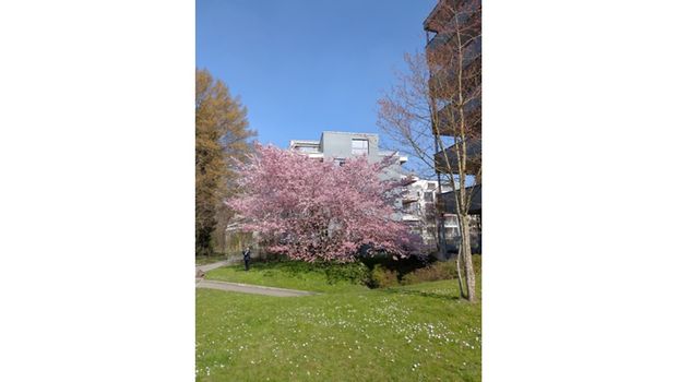 3½ Zimmer-Wohnung in Zürich - Kreis 3, möbliert, auf Zeit - Foto 1