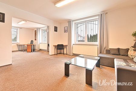 Pronájem bytu 6+kk 320 m² - Fotografie 3