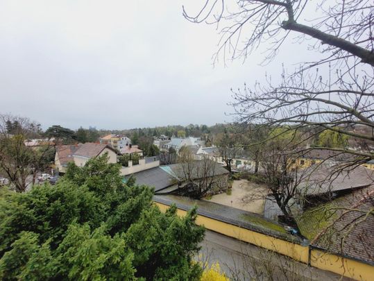 Langackergasse: 5-6 Zimmer Stilaltbau in Grünruhelage und Ausblick - Foto 1
