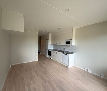 Klättergatan 9 – 1 rok (1303) - Foto 2