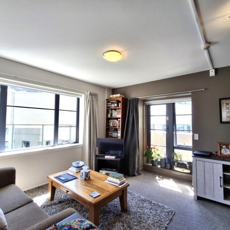 Sunny Thorndon Apartment - Photo 4