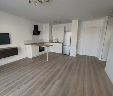 Location Appartement 2 pièces 41m² SCHILTIGHEIM 67300 - Photo 3