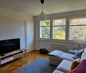 2.5 Zimmer, 57 m², 3. Stock - Photo 5