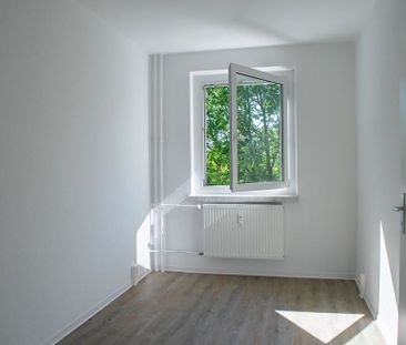 Wohnungswechsel zum 01.12.2024 - Photo 1