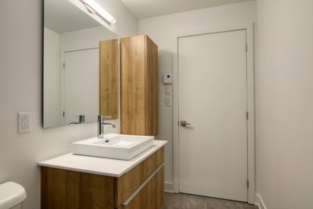 9675 Av. Papineau, app.402, H2B 3C8, H2B 3C8, Montréal - Photo 2