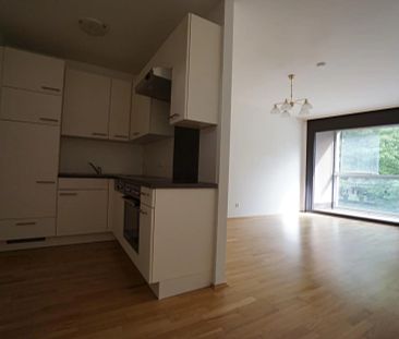 PROVISIONSFREI - Eggenberg - 38m² - 1-Zimmer-Wohnung - Loggia - Top-Infrastruktur - Foto 6