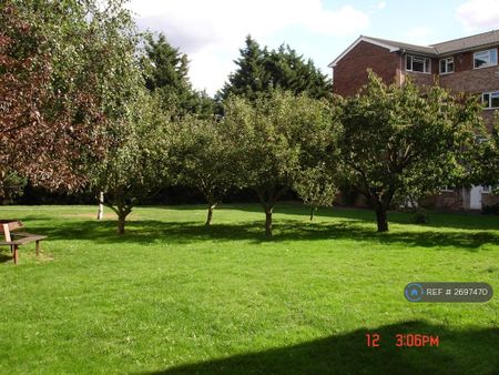 2 bedroom maisonette to rent - Photo 5