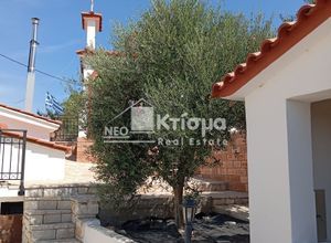 Διαμέρισμα για ενοικίαση - Ιαρδανός, - Photo 4