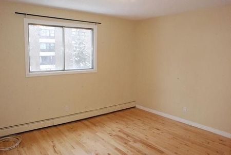 Seymour Place - Photo 3