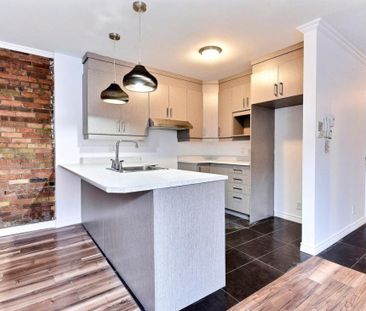 3712 - 3722 Rue St-Denis, app.302, H2X 3L7, H2X 3L7, Montréal - Photo 1