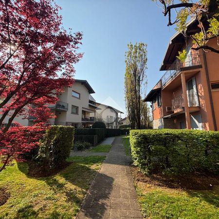 Trilocale in affitto - Photo 4