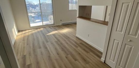 Nouveau 4 1/2 à louer Greenfield Park Longueuil Rive-Sud - Photo 2