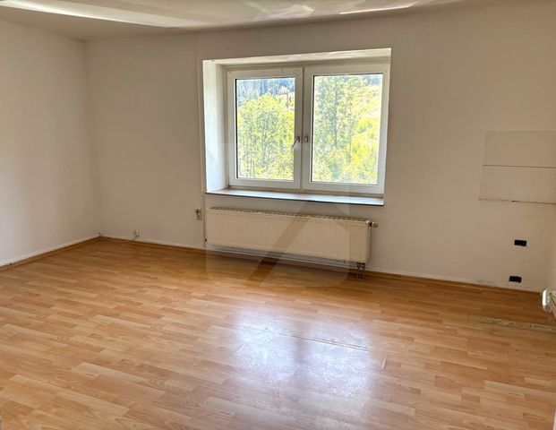 Lüdenscheid-Wettringhof: Single-Appartment im Erdgeschoss - Photo 1