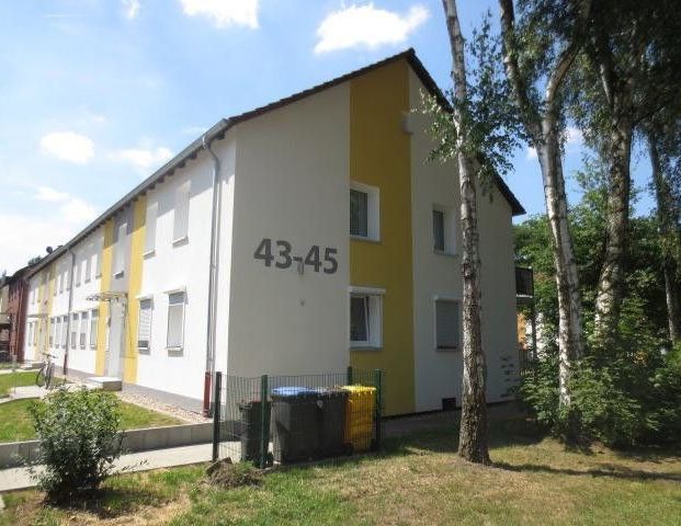 Preiswerte und praktische 2-Zimmer-Wohnung - Photo 1