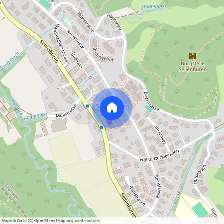 Sellenbüren 55, 8143 Stallikon