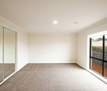 Spacious, Light Filled Family Home - Photo 6