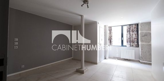 Location Appartement 1 pièce 25m² ST ETIENNE 42000 - Photo 2
