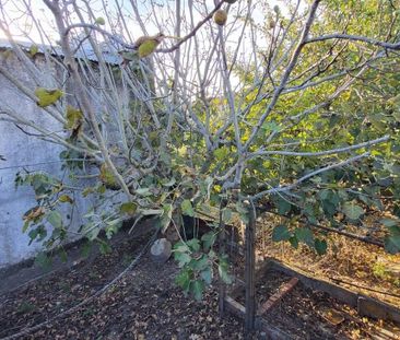 AVEIRO, Aveiro - Photo 5