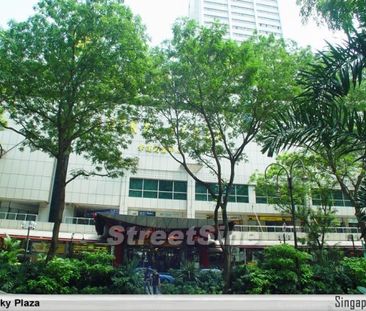 Lucky Plaza (D9), Apartment - For Rent - Photo 3