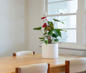 Cosy, Character-Filled Home in Handy East Lismore Location - Photo 6