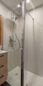 Location Appartement 1 pièce 25m² STRASBOURG 67200 - Photo 4