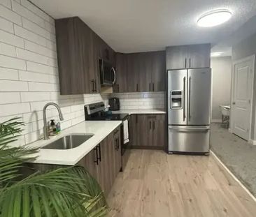 $1400 All-Inclusive|Bright & Pet-Friendly Walkout Basement Suite | ... - Photo 1