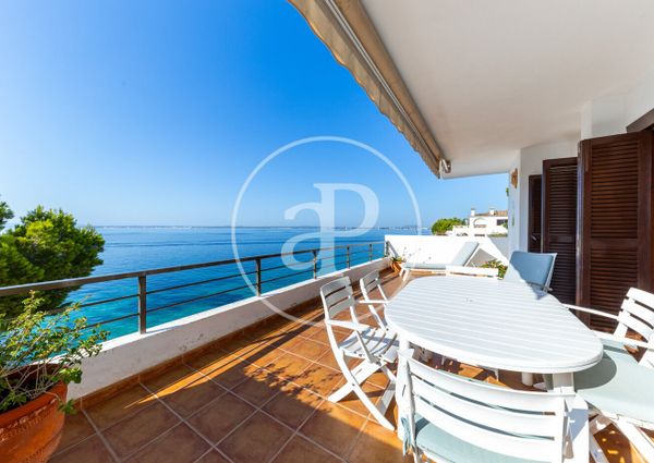 Flat for rent with Terrace in Port d’Alcúdia - Platja d'Alcúdia (Alcúdia)
