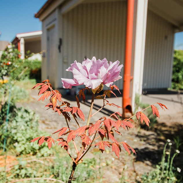 Kanalstigen 8, Bromölla - Foto 1