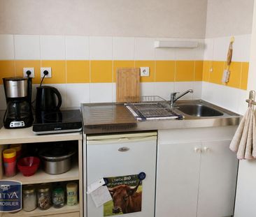 Location Appartement 1 pièce 28m² BEAUPREAU EN MAUGES 49600 - Photo 1