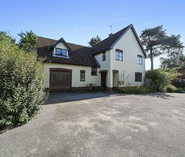 5 bedroom detached house to rent - Photo 5