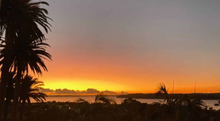 NORTHERN SLOPES CUTIE - HERNE BAY - Photo 4