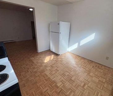 1 CH - 1 SDB - Montréal - $1,195 /mo - Photo 4