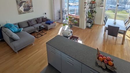 3½ Zimmer-Wohnung in Kriens (LU), möbliert, auf Zeit - Foto 2